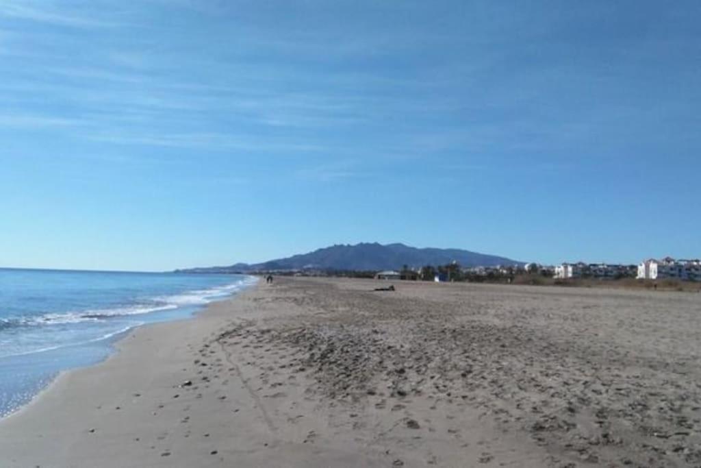 Encantador Estudio En 1ª Linea De Playa *