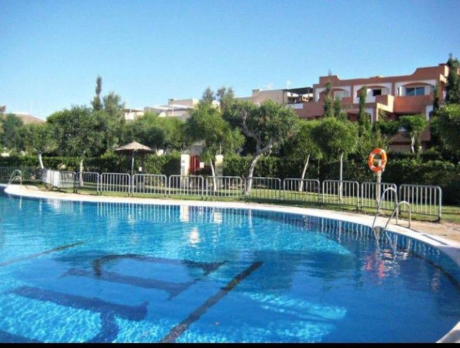 Encantador Estudio En 1ª Linea De Playa Appartement *
