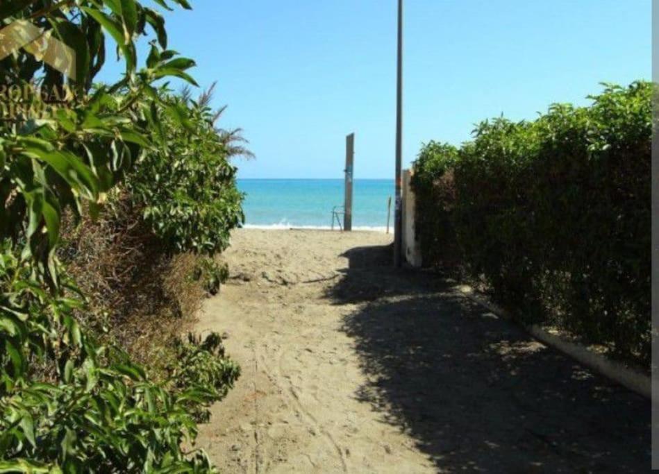 Appartement Encantador Estudio En 1ª Linea De Playa